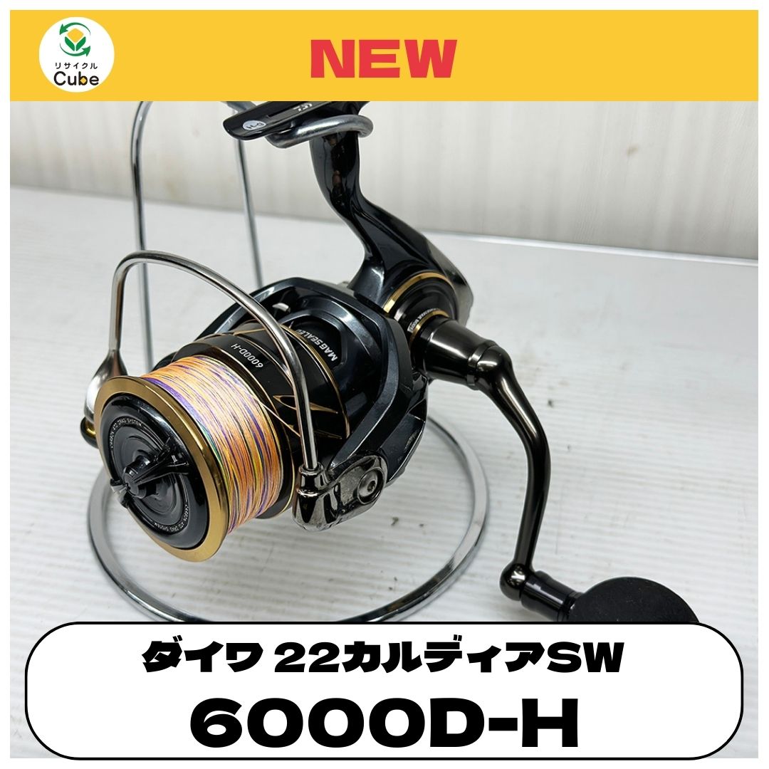 ダイワ 22カルディアSW 6000D-H